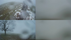 Sdružený snímek Bludný