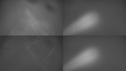 Sdružený snímek Bludný