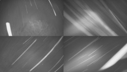 Sdružený snímek Bludný