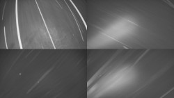 Sdružený snímek Bludný