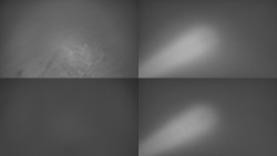 Sdružený snímek Bludný