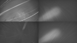 Sdružený snímek Bludný