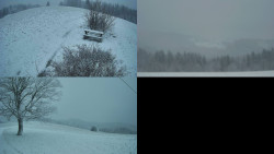 Sdružený snímek Bludný