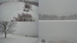 Sdružený snímek Bludný