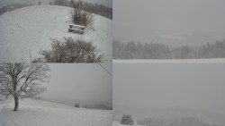 Sdružený snímek Bludný