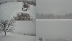 Sdružený snímek Bludný