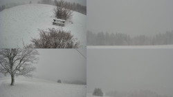 Sdružený snímek Bludný