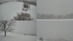 Sdružený snímek Bludný