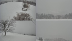 Sdružený snímek Bludný