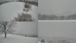 Sdružený snímek Bludný