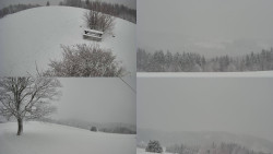 Sdružený snímek Bludný