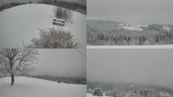 Sdružený snímek Bludný