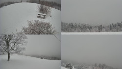 Sdružený snímek Bludný