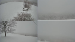 Sdružený snímek Bludný