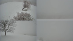 Sdružený snímek Bludný