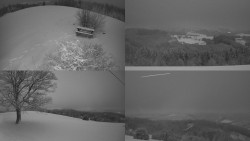 Sdružený snímek Bludný