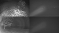 Sdružený snímek Bludný