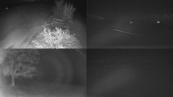 Sdružený snímek Bludný