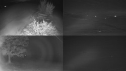 Sdružený snímek Bludný