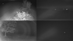 Sdružený snímek Bludný