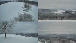 Sdružený snímek Bludný