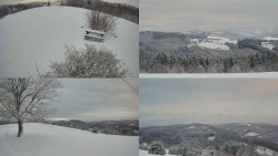 Sdružený snímek Bludný