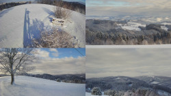 Sdružený snímek Bludný