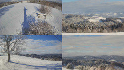 Sdružený snímek Bludný