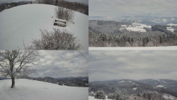 Sdružený snímek Bludný