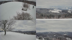 Sdružený snímek Bludný