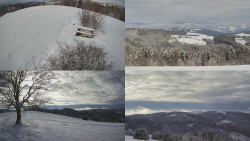 Sdružený snímek Bludný