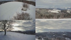 Sdružený snímek Bludný