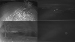 Sdružený snímek Bludný