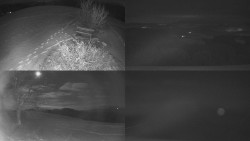 Sdružený snímek Bludný