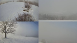 Sdružený snímek Bludný