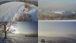 Sdružený snímek Bludný