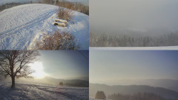 Sdružený snímek Bludný