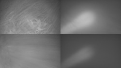 Sdružený snímek Bludný