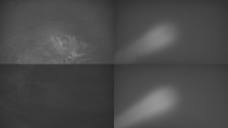 Sdružený snímek Bludný