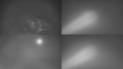 Sdružený snímek Bludný