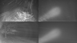 Sdružený snímek Bludný