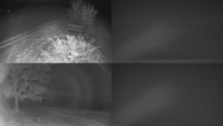 Sdružený snímek Bludný