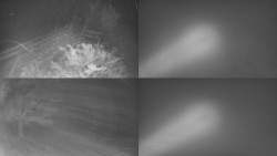 Sdružený snímek Bludný