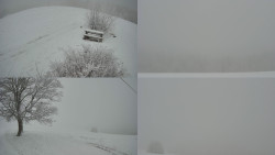 Sdružený snímek Bludný