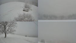 Sdružený snímek Bludný