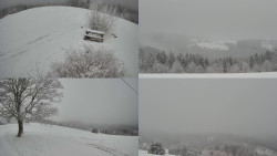 Sdružený snímek Bludný