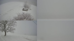 Sdružený snímek Bludný