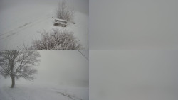 Sdružený snímek Bludný