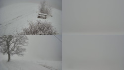 Sdružený snímek Bludný