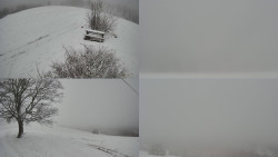 Sdružený snímek Bludný